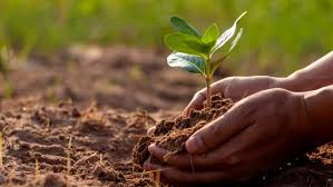 A Green Strategy to Protect All Crops