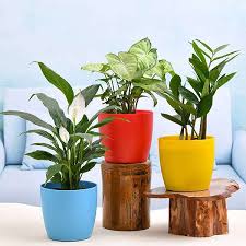 images 9