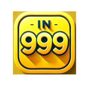 in999 logo