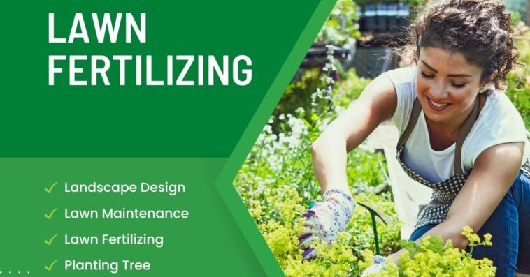 lawn care services