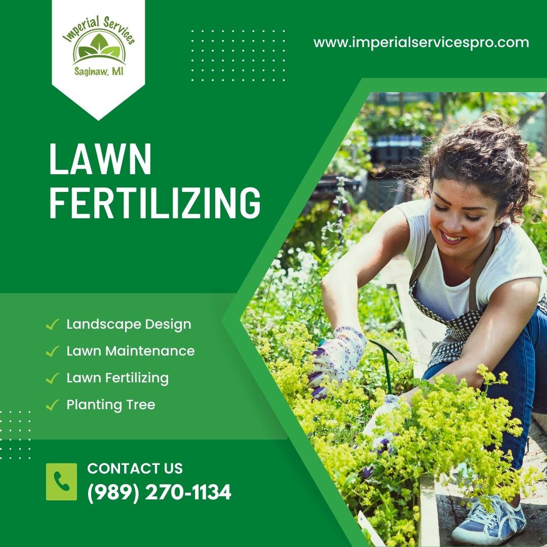 lawn care services
