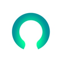 magnasoft logo 11