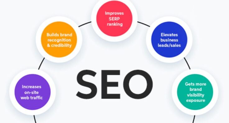 seo infographic