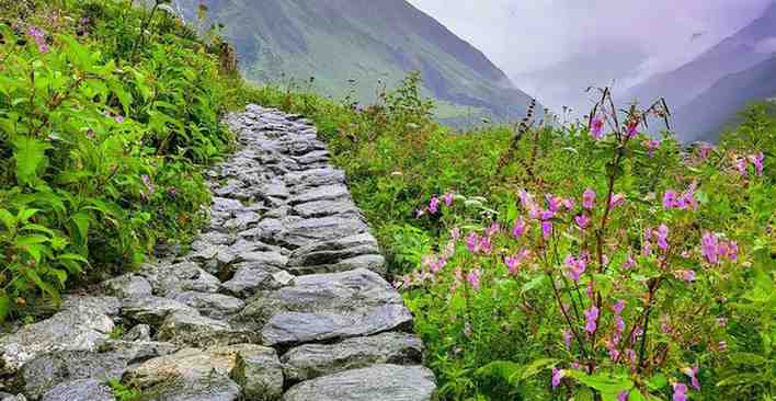 Best Travel Routes to Valley of Flowers