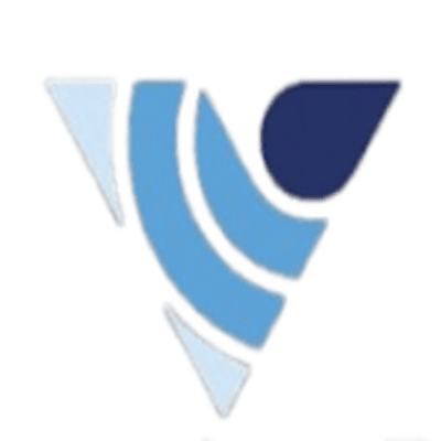 vd logo 1