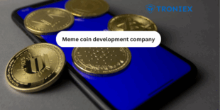 29 memecoin devlop company