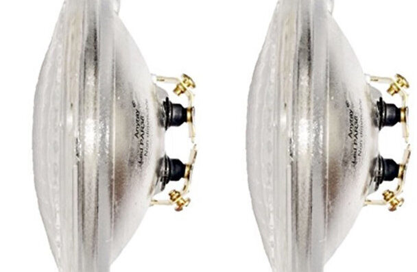 2 Bulbs PAR36 LED Anyray 40447