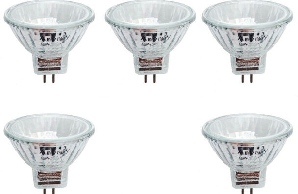 5 Bulbs MR11 halogen Anyray 40809