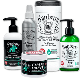 Article 1 tea tree air freshener