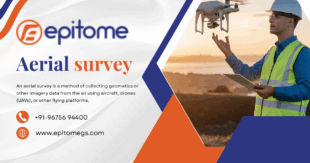 Aerial survey 1