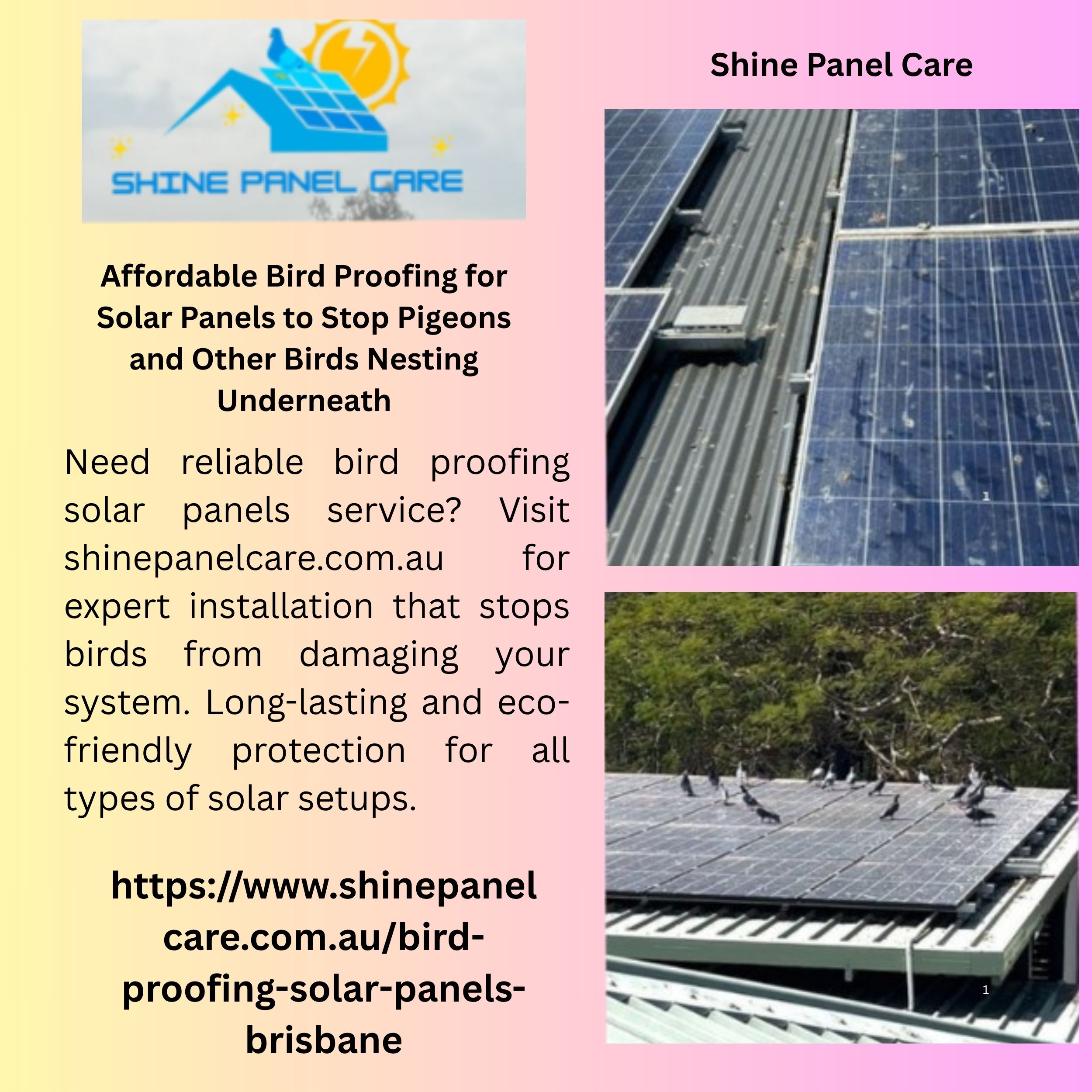 Affordable Bird Proofing for Solar Panels to Stop Pigeons and Other Birds Nesting Underneath 1 Affordable Bird Proofing for Solar Panels to Stop Pigeons and Other Birds Nesting Underneath