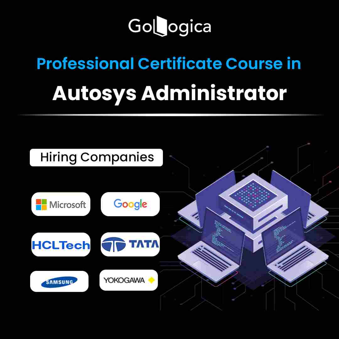 GoLogica Autosys Administrator Training