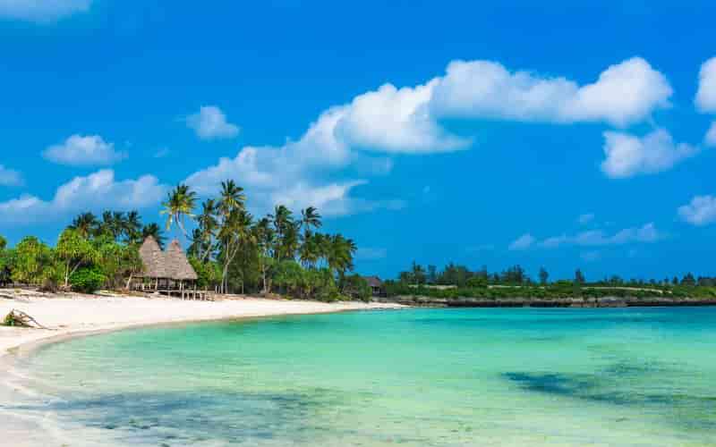 Best Time to Visit Zanzibar for Every Traveler