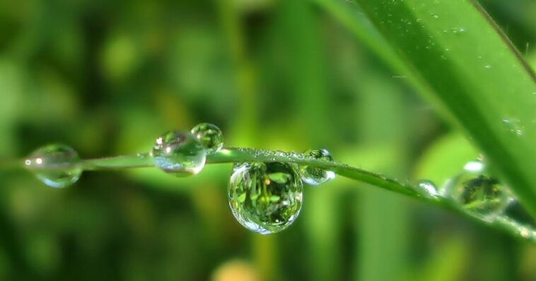 dew point calculator