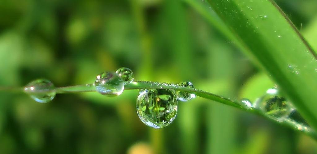 dew point calculator