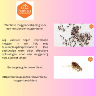 Effectieve muggenbestrijding voor een huis zonder muggenbeten