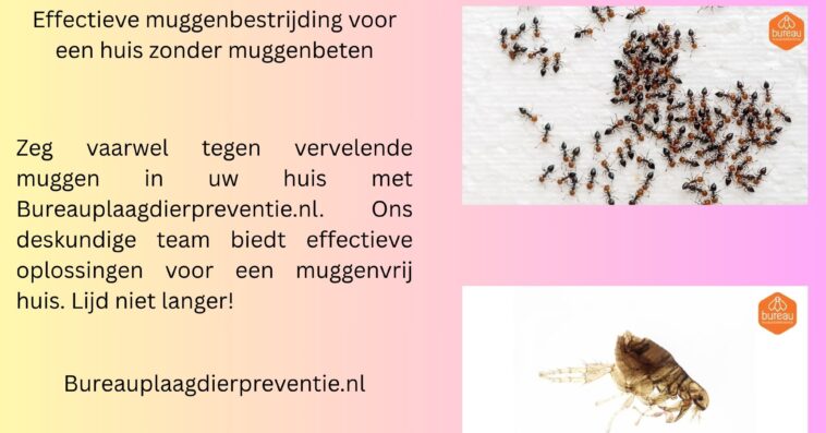 Effectieve muggenbestrijding voor een huis zonder muggenbeten