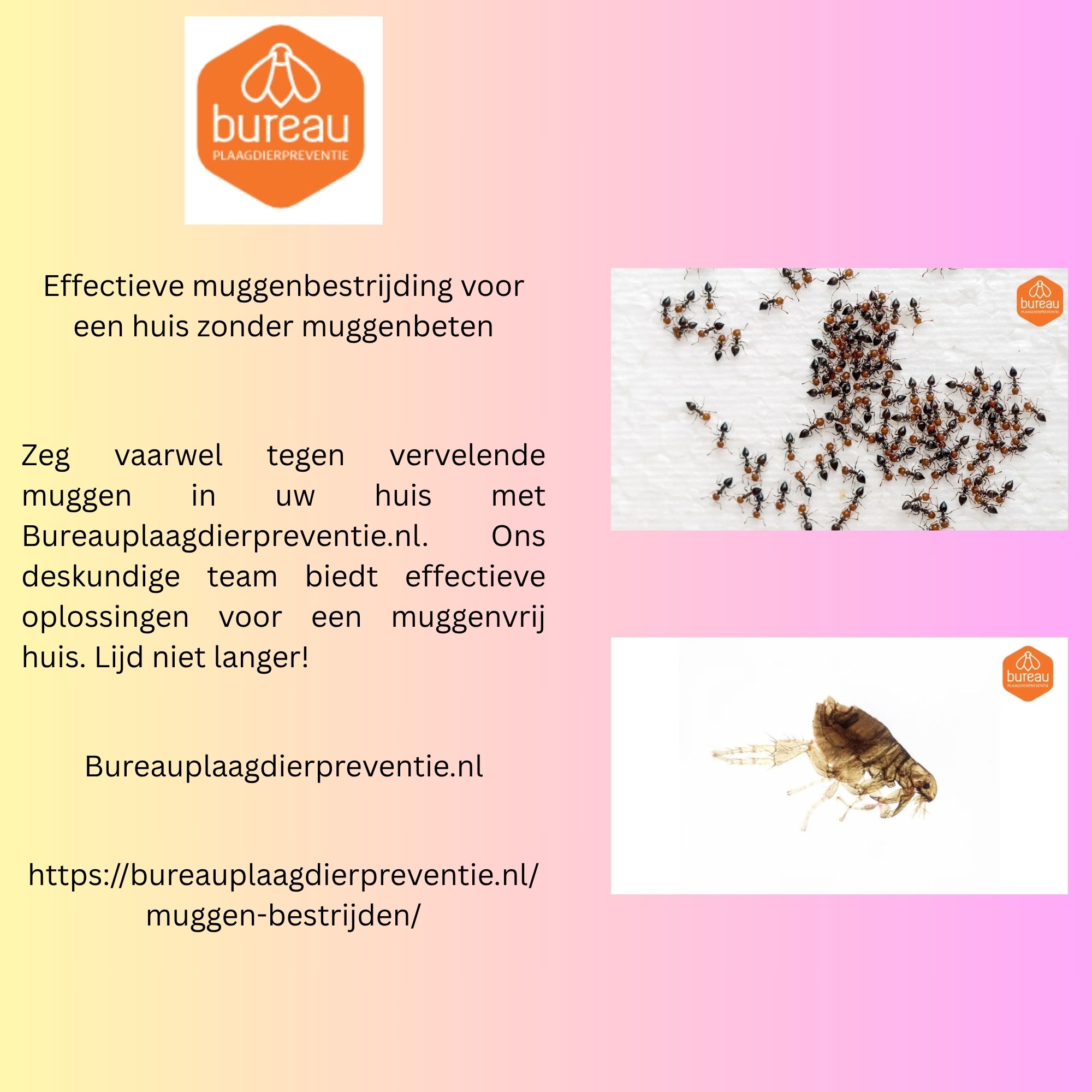 Effectieve muggenbestrijding voor een huis zonder muggenbeten