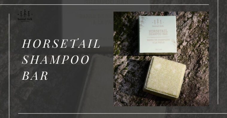 Horsetail Shampoo Bar
