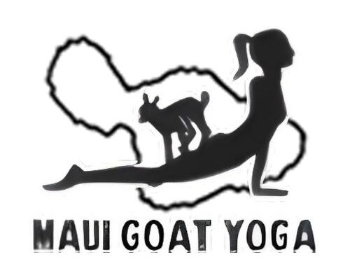 Maui Goat Yoga 1
