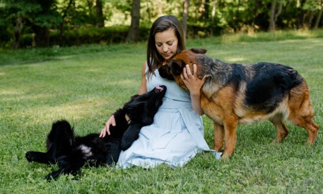 North East German Shepherd Breeders