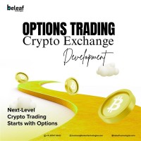 Successful Crypto Options Trading Platform: