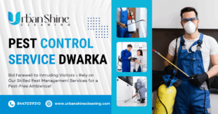 Pest Control Service Dwarka