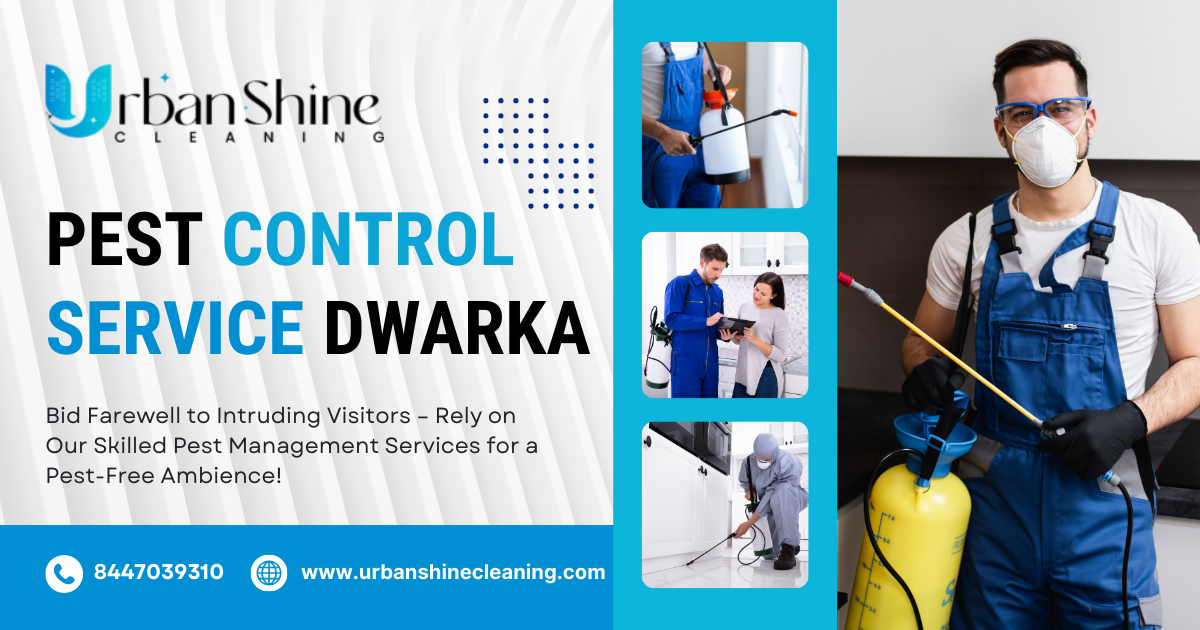 Pest Control Service Dwarka