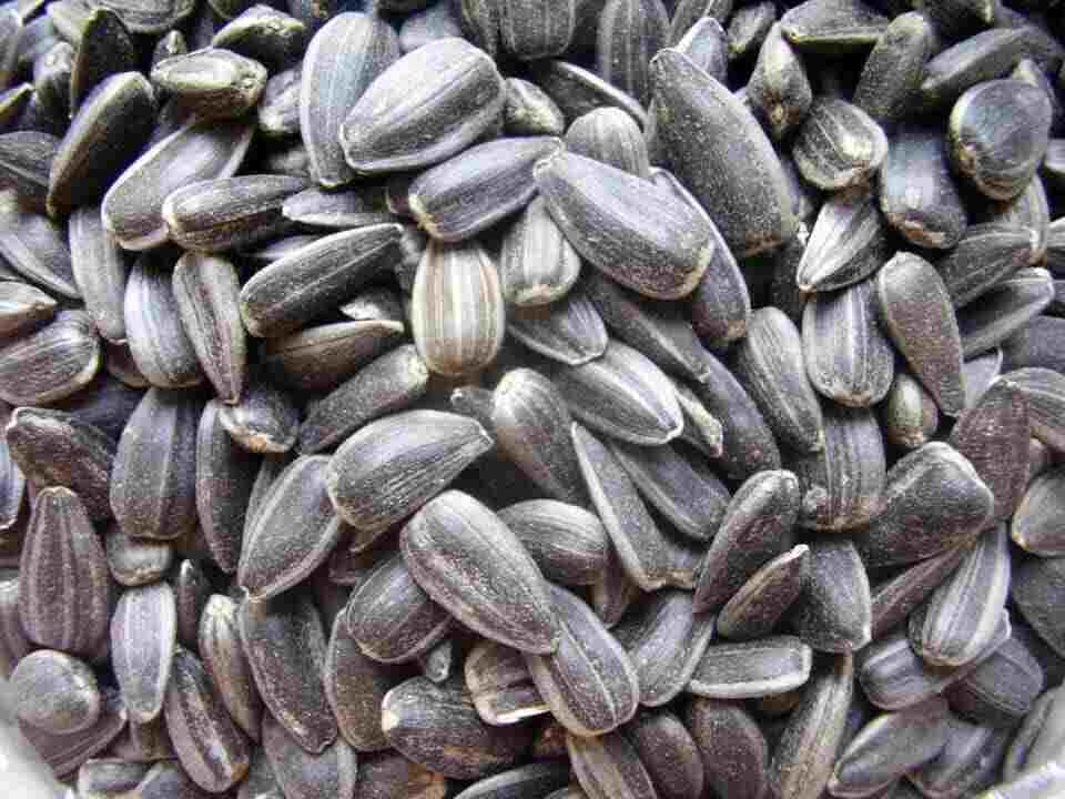 Sunflower Seeds: Benefits & Side Effects for Women