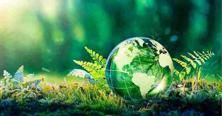 Sustainable Greener Lifestyle 11zon