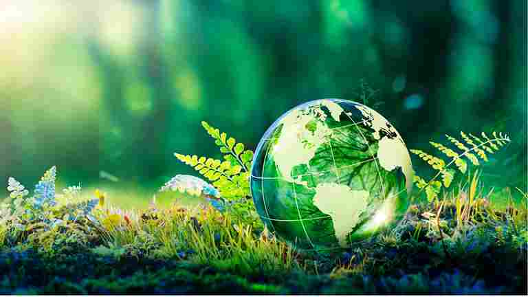Sustainable Greener Lifestyle 11zon