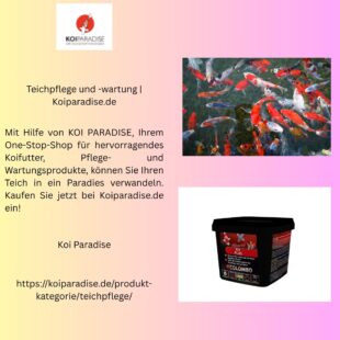 Teichpflege und wartung Koiparadise.de