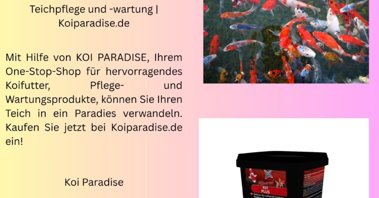 Teichpflege und wartung Koiparadise.de