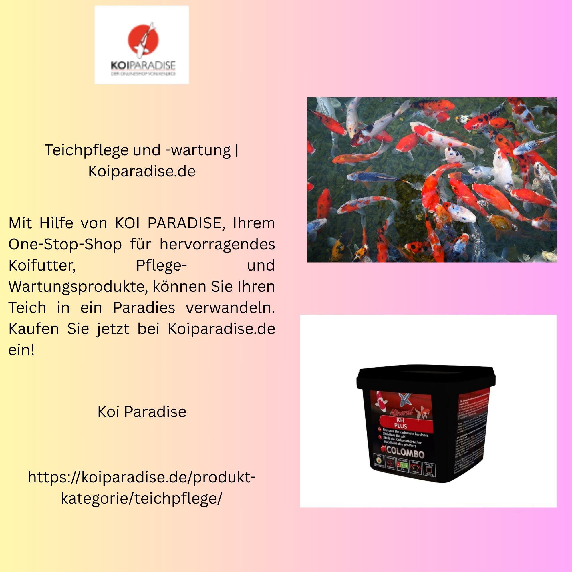 Teichpflege und -wartung | Koiparadise.de 1 Teichpflege und wartung Koiparadise.de