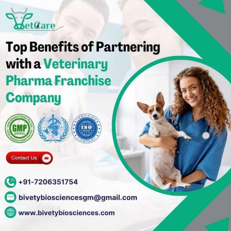 Top Benefits with Veterinary Pharma Franchise Company