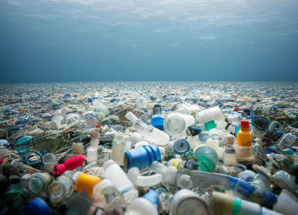 5 Useful Tips for Rubbish Removal at Home