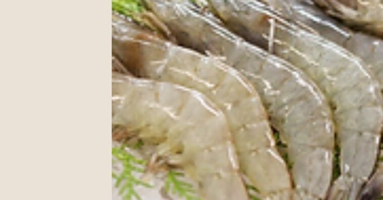 Wholesale seafood suppliers 1