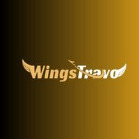 WingsTravo Profile image1
