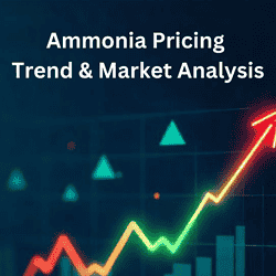 A Simple Look at the Ammonia Price Trend
