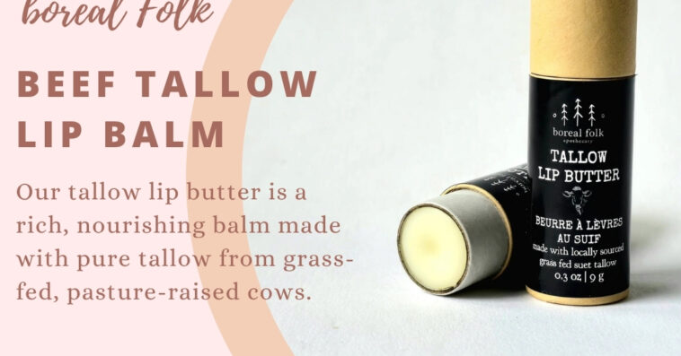beef tallow lip balm