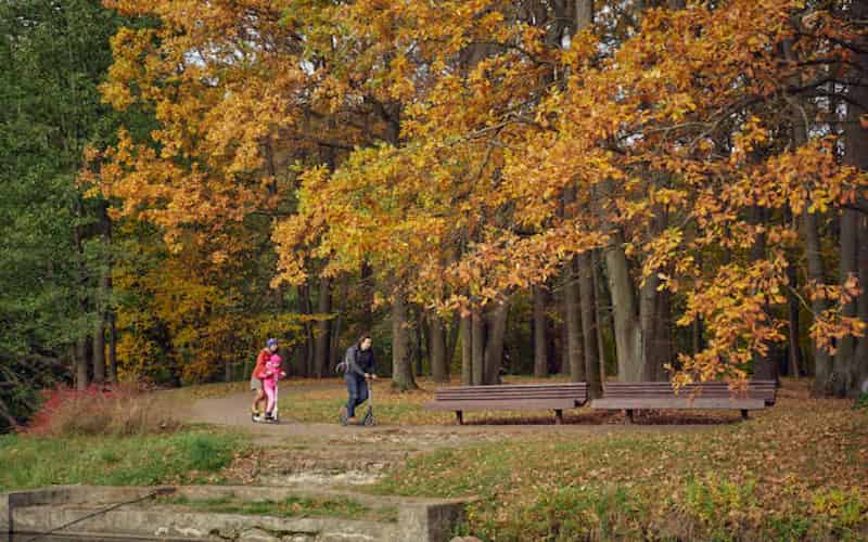 Discovering Belarus’s Rural Charm