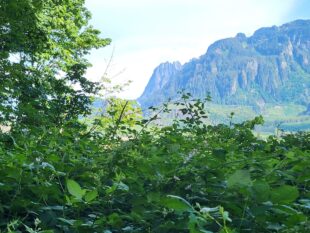 cascade mountain view while horseback riding near seattle 2048x1536 1