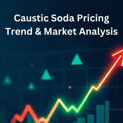 A Simple Guide to the Caustic Soda Price Trend
