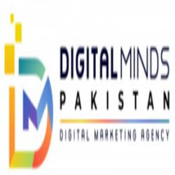 digital minds 1