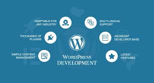 Best WordPress Development Company in India for Custom CMS Solutions 1 download 2025 07 15T154306.535