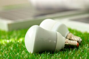 energy efficient light bulb lying grass 1 1