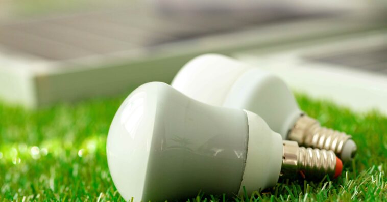 energy efficient light bulb lying grass 1 1
