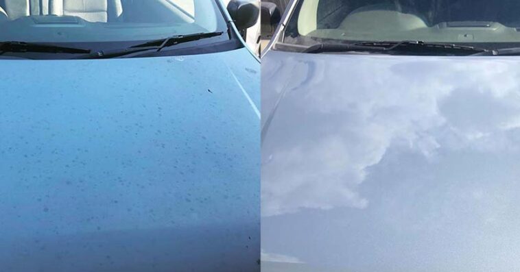 ford bonnet paint correction 1