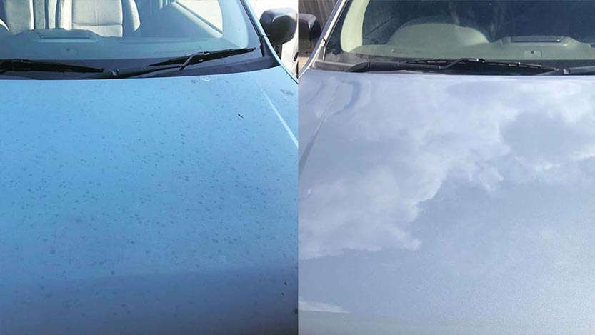 Paint Correction vs. Polishing: What’s the Difference?