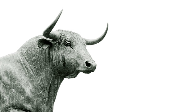 How to Identify the Best Stock Advisory for Investments